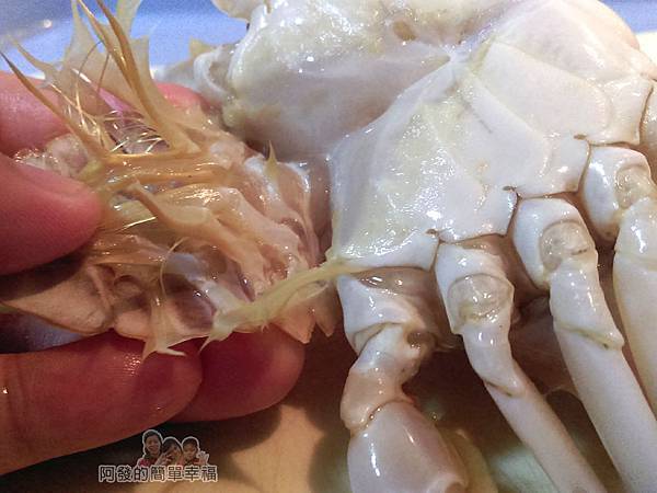 奶油螃蟹05-將蟹肚的臍蓋掰開拆下或剪下
