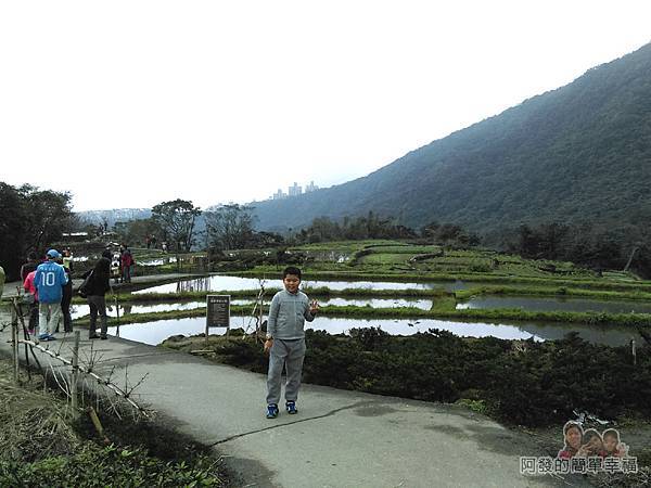 八煙聚落17-水梯田復育區