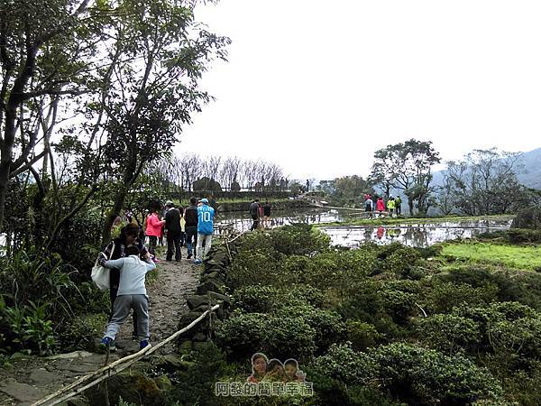 八煙聚落19-通往三層圳與水中央