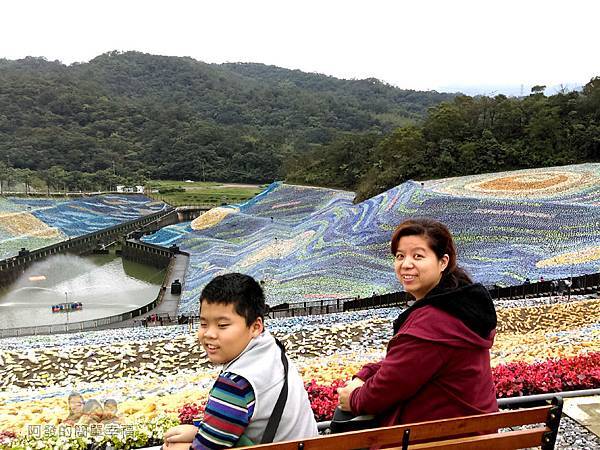 擁恆文創園區23-泡泡屋之間有座椅可觀賞星空草原