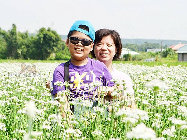 中新里韭菜花海15-母子留影