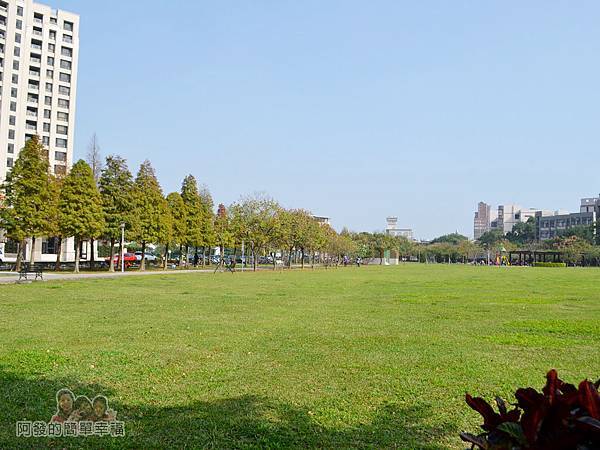 玉山公園16-公園的草皮有如鋪上一層舒服的綠色地毯