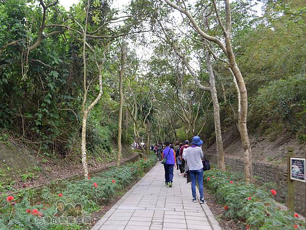 功維敘隧道35-山林小徑