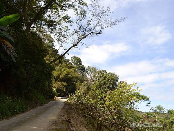 洗水坑李花祕境08-道路不寬山坡很陡