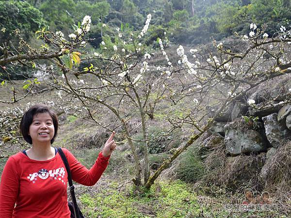 洗水坑李花祕境11-開心的老婆