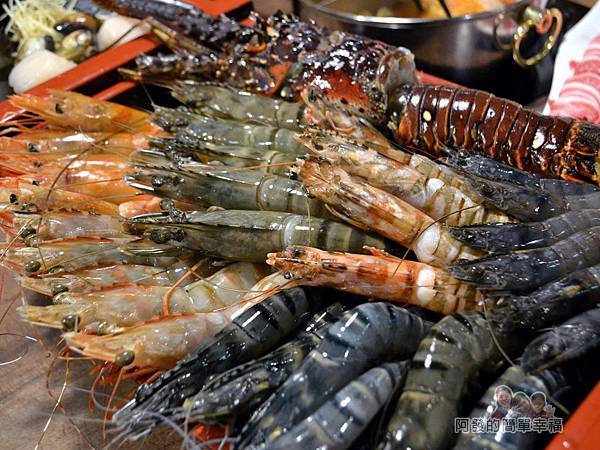 崔官木桶鍋32-第一次同時看到這麼多種高級蝦