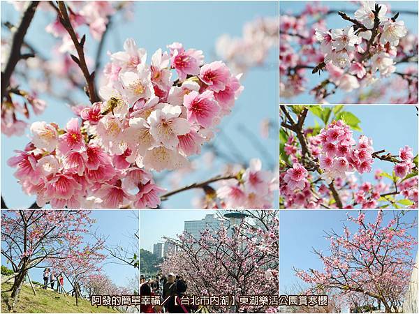 東湖樂活公園all 東湖樂活公園all