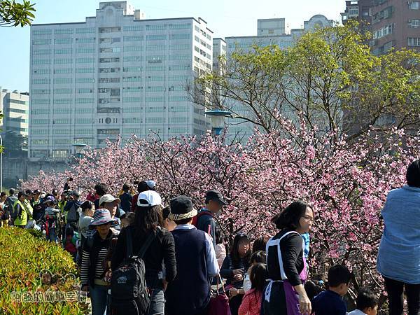 東湖樂活公園07-爭相留影的人潮