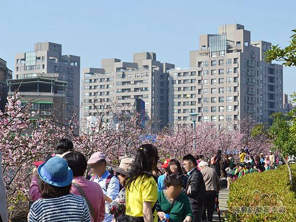 東湖樂活公園08-爭相留影的人潮II