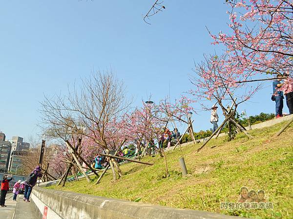 東湖樂活公園24-內溝溪畔步道