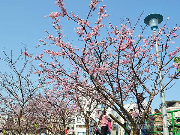 東湖樂活公園32-往回走