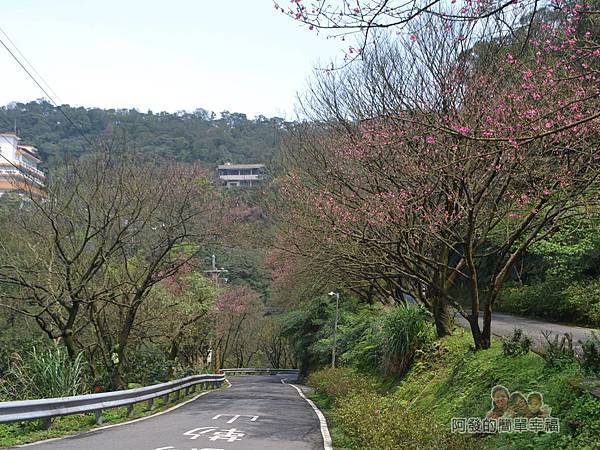 珍饌玉膳01-勤進路上的櫻景 珍饌玉膳01-勤進路上的櫻景