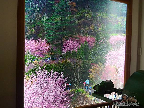 珍饌玉膳15-周邊櫻花盛開時的樣貌