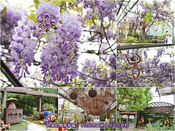 台北花卉村-all 台北花卉村-all