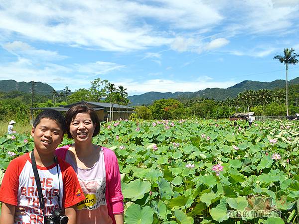 2017雙溪荷所在43-小型荷花田前留影