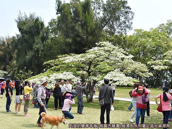 北區水資源局09-大草坪上拍照留影的人潮