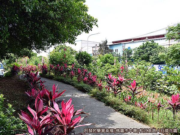 松江南路小花園02-花園小徑.JPG