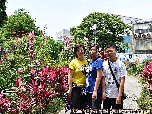 松江南路小花園06-蜀葵花圃前留影.JPG