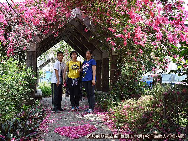 松江南路小花園11-九重葛花亭下留影.JPG