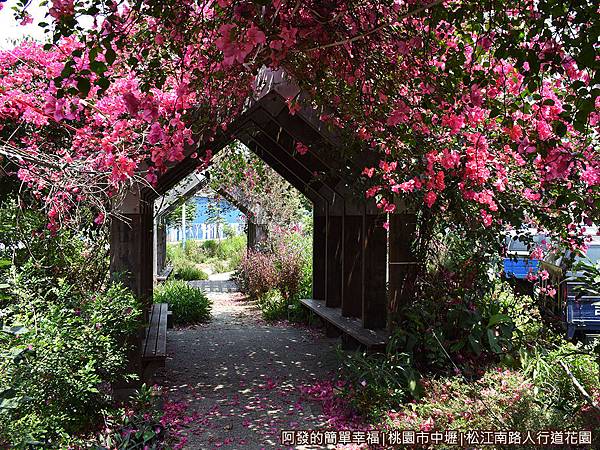 松江南路小花園15-九重葛花亭.JPG