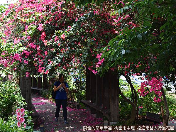 松江南路小花園25-漫步花亭下.JPG