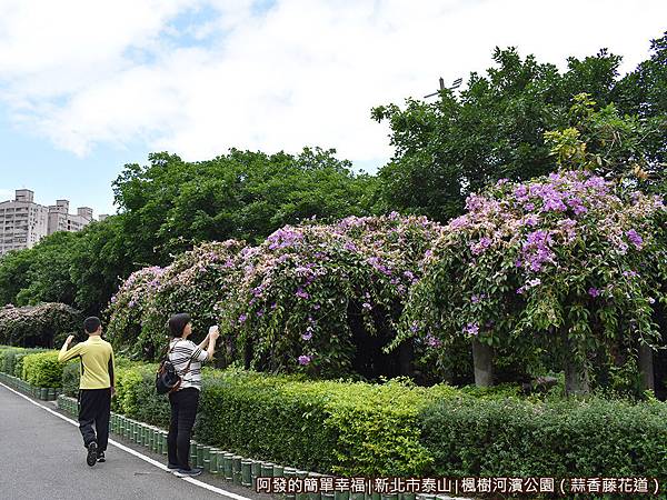 楓樹河濱公園10-拍拍拍.JPG