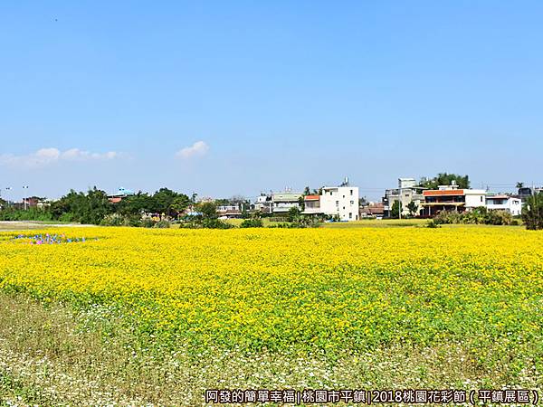 桃園花彩節(平鎮展區)16-風車海區II.JPG