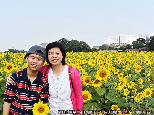 桃園花彩節(平鎮展區)38-陳家田寮前向日葵花海.JPG