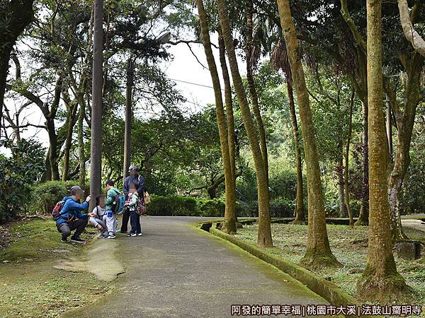 法鼓山齋明寺28-通往第二禪堂的林蔭步道.JPG