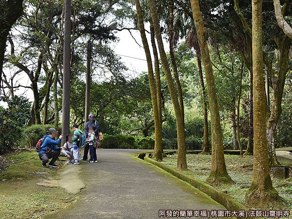 法鼓山齋明寺28-通往第二禪堂的林蔭步道.JPG 法鼓山齋明寺28-通往第二禪堂的林蔭步道.JPG