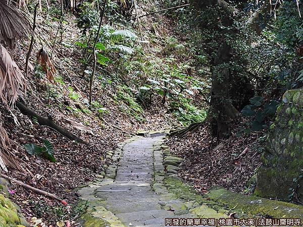 法鼓山齋明寺31-古道.JPG