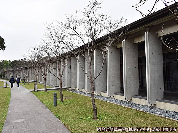 法鼓山齋明寺15-齋堂旁的吉野櫻櫻花步道.JPG