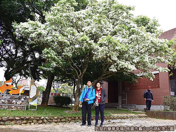 大湖紀念公園14-流蘇樹下留影.JPG