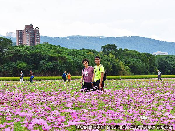 愛戀關渡花現幸福24-花海區末段.JPG