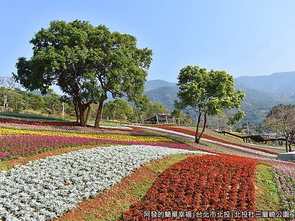 北投社三層崎公園10-仿照北海道富良野的花海.JPG