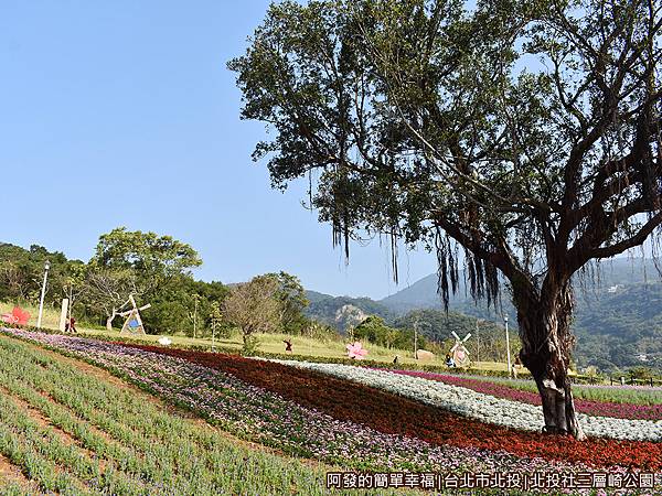 北投社三層崎公園18-樂齡步道區往上視野.JPG