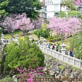 竹林山觀音寺12-池畔旁的賞櫻人潮.JPG