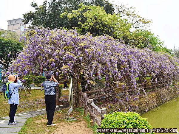 大湖紀念公園11-紫藤花棚廊道外觀.JPG