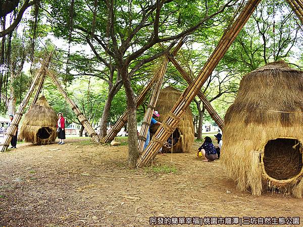 三坑自然生態公園07-稻之蛹.JPG