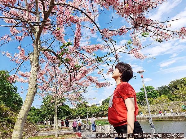 牛欄河親水公園17-假網美照.jpg