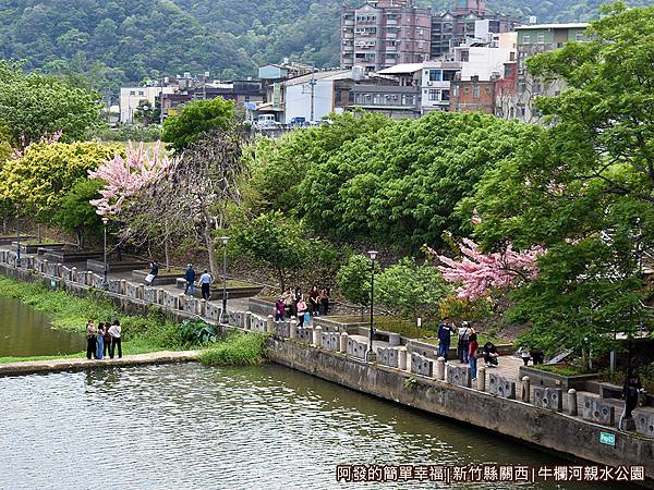 牛欄河親水公園02-牛欄河景.JPG