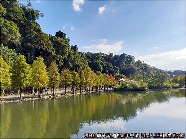 月眉人工濕地10-林澤溼地區湖景.jpg