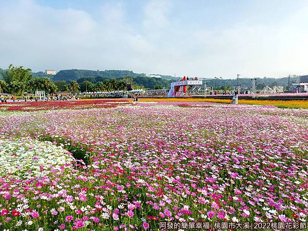 2022桃園花彩節08-觀景台.jpg