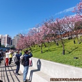 樂活公園17-內溝溪畔步道.jpg