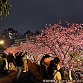 樂活公園夜櫻03-人潮.jpg