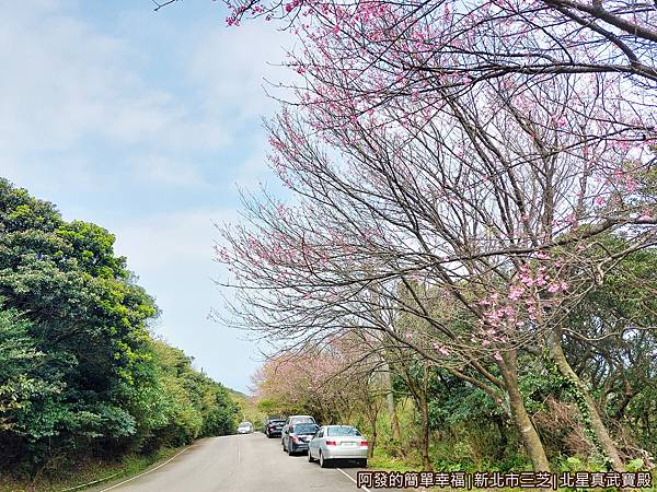 北星真武寶殿01-北15線鄉道.jpg