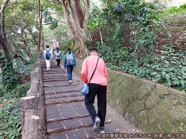 劍潭山親山步道05-中段後階梯平緩多.jpg