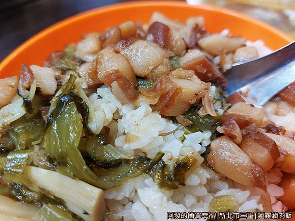 蓮霧滷肉飯10-滷肉飯特寫.jpg