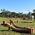 山佳荷花池08-漂流木打造的兒童天然體驗遊戲環境.JPG