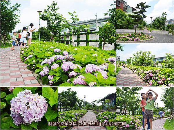 黎明步道花園13-往年盛開時的模樣.jpg